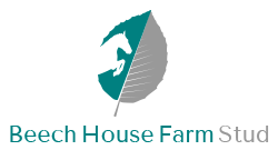  Beech House Farm Stud 